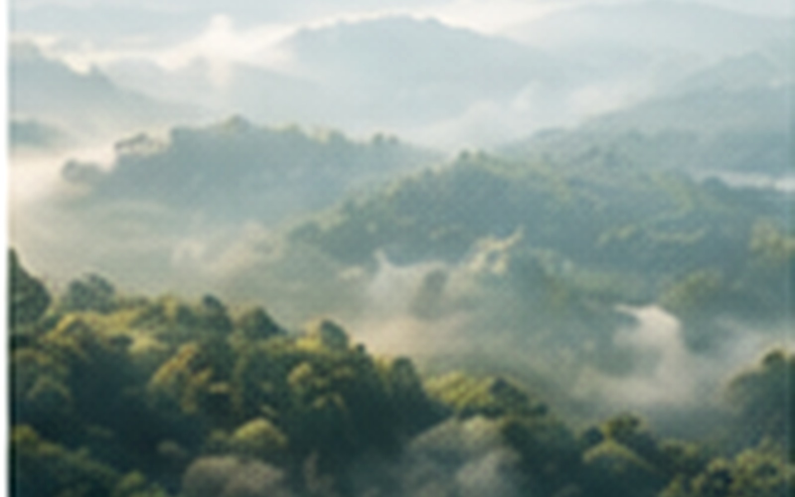 Treinamento Relatórios ESG para o Agronegócio